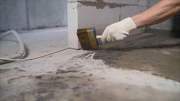 SJ Waterproofing Pros Waterproofing coverage map for Homer, GA and surrounding area